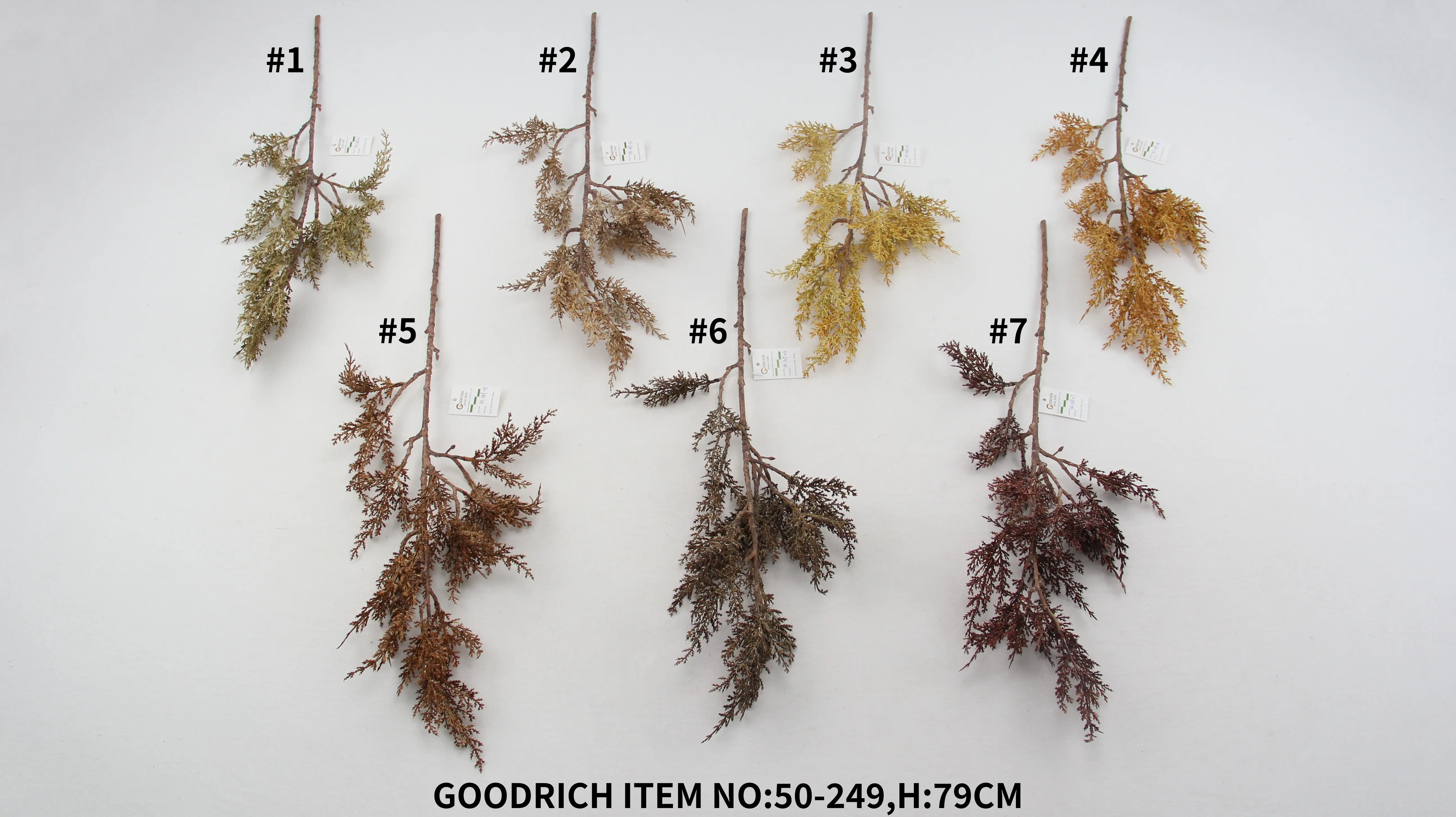 Single flowers 50-249