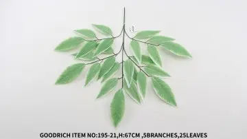 Leaves 195-21