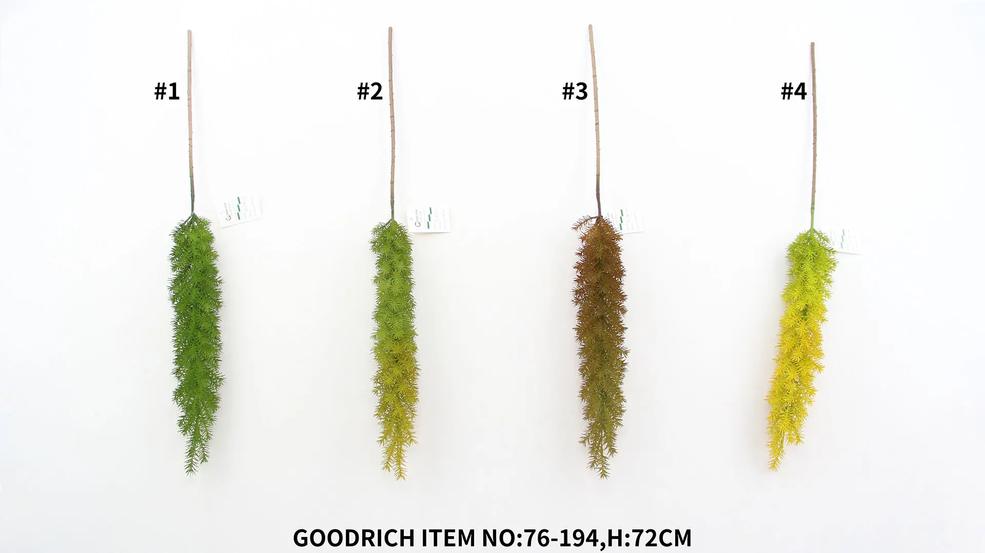 Green plants 76-194.jpg