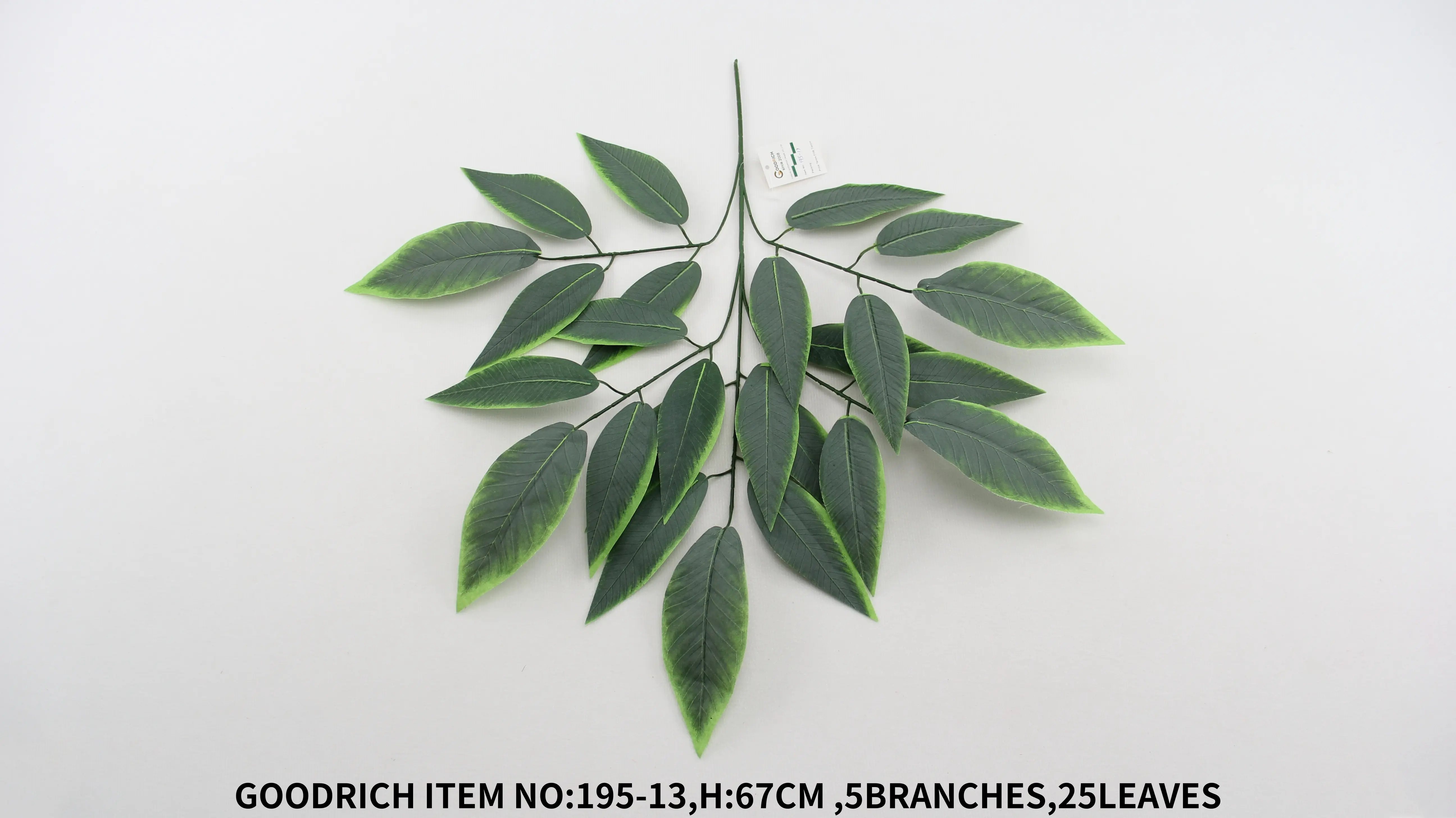 Leaves 195-13